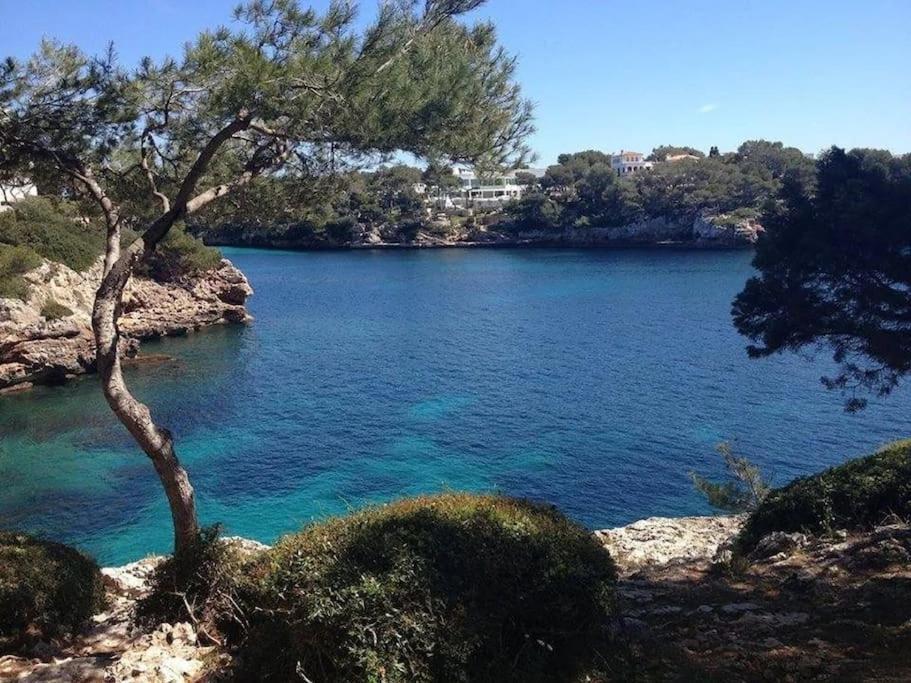 Bella Luna 3 - 2023 Neu Renoviert Villa Porto Petro (Mallorca)