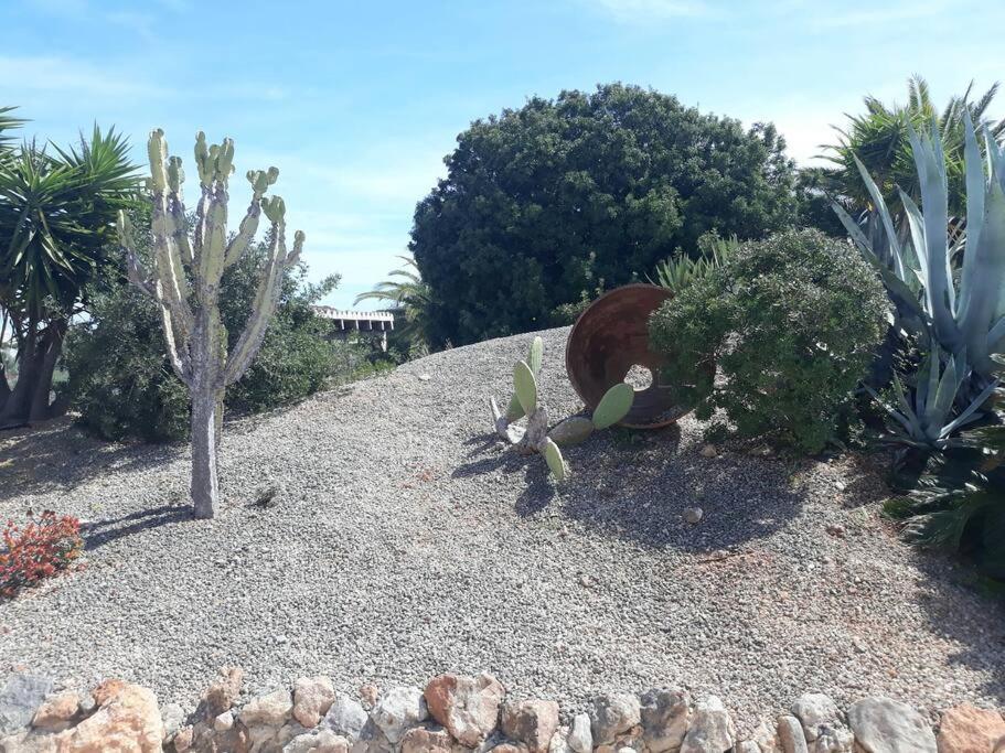 Villa Bella Luna 3 - 2023 Neu Renoviert Porto Petro (Mallorca)